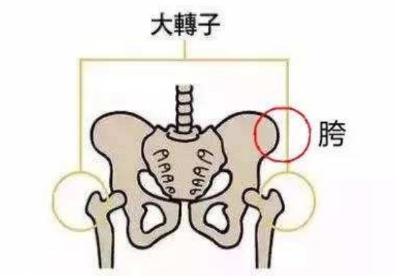 假胯宽可以纠正吗 可以纠正的 